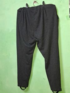 Lane Bryant Designs &amp; Co Pants