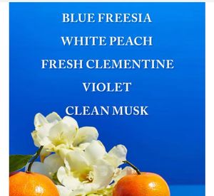 Bath &amp; Body Works Gingham Mist