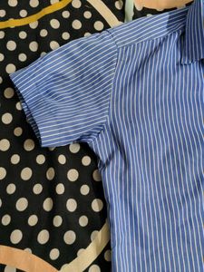 Blue Striped Shirt
