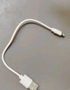 Old Type & Iphone charger
