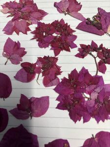dry flowers for resin art