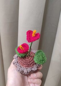 Crochet Anthurium Plant