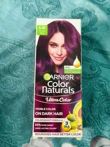 Garnier Plum Red Hair Color