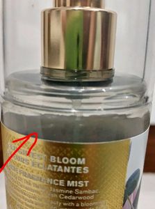 Free Shipping💖Brightest Bloom Mist Bath&amp;BodyWorks