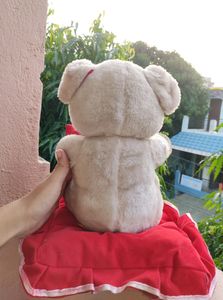 Soft Teddy Bear 🧸