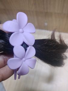 Hair Clip