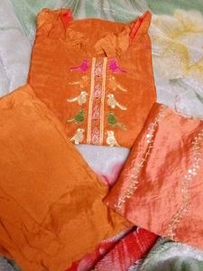 Embroidered Decent Look Suit