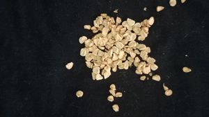4 Seeds Mehndi ,Kadam,Dhatura ,Tomato