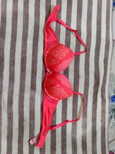 Pink Net Embroidery bra