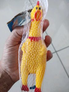 Pet Leash &amp; Toy Set