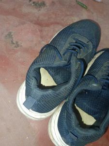 Navy Blue Mesh Sneakers