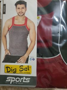 digsel gym vest