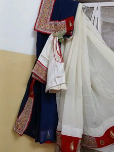 Elegant Embroidered Saree