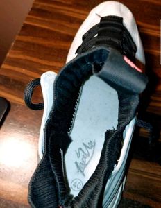 🇰🇷 Korean Basketball Shoes- Premium Imported