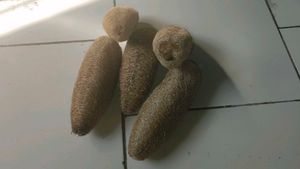 Best Natural Loofah Sponges