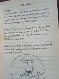 Diary Of A Wimpy Kid The Third Wheel