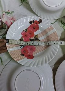Fiber Plates 🍽️