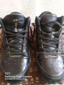Campus Black Sneakers