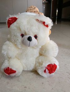 Combo Cute Teddy Bear Collection