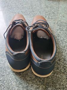 MAX Brown Casual Shoes