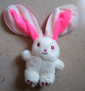 Straberry Chain Reversible Bunny Soft Toy 🐰