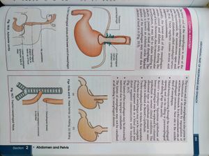 BD CHAURASIA anatomy Set Of 4 Volumes