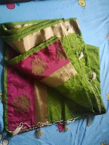 Green and Pink Saree with Gold Border