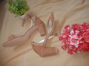 Beige For Spread Happiness