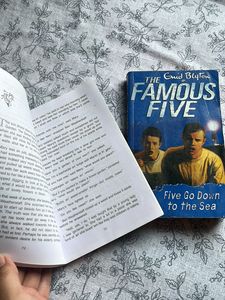 Story Books ( Famous 5 &amp; Secret Garden)