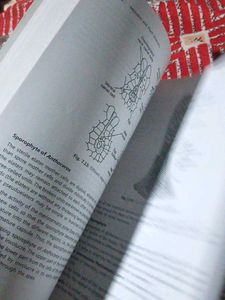 Microbes &amp; Plant Diversity - B.Sc. Botany