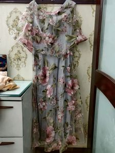 Organza gown