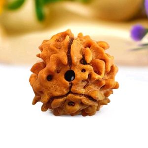 3 Mukhi Rudraksha (Indian)