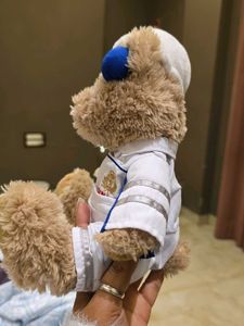 Collectible Teddy Bear