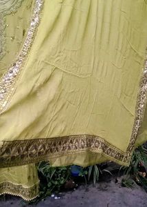 Green Sharara Suit 🦜🌻