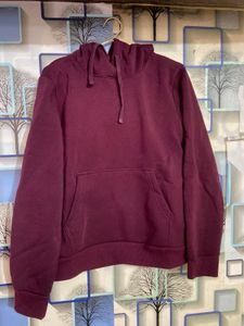 Hoddie