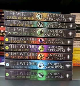 The Witcher Series by Andrzej Sapkowski