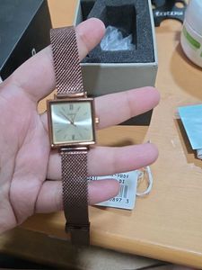 Casio Enticer Elegant Women&#39;s Watch