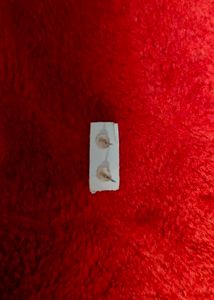 Cute Apple &amp; Butterfly western Earrings 🍎🦋