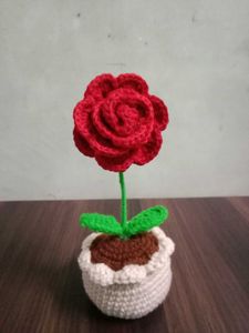 Rose Flower Pot ✨🌹