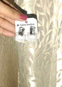 Sparkling Silver Earrings