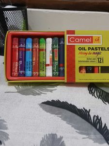 Camel Oil Pastels