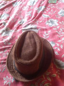 Brown Fedora Hat
