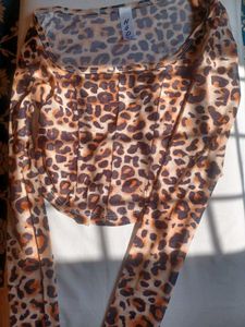 Leopard Print Mesh Crop Top