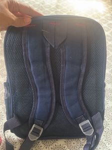 Cute Dinosaur Kids Backpack