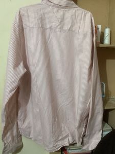 Max Pink Striped Button Down