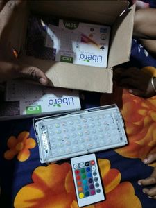 Online Generation Flood/Outdoor Lamp-Pack 2