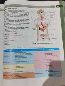 Medical Physiology - Eighth Edition