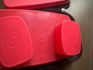 Signoraware Lunch Box with Containers