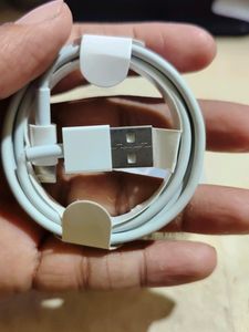 New Foxconn USB Charging Cable
