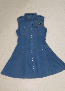 Vintage Denim Mini Dress
